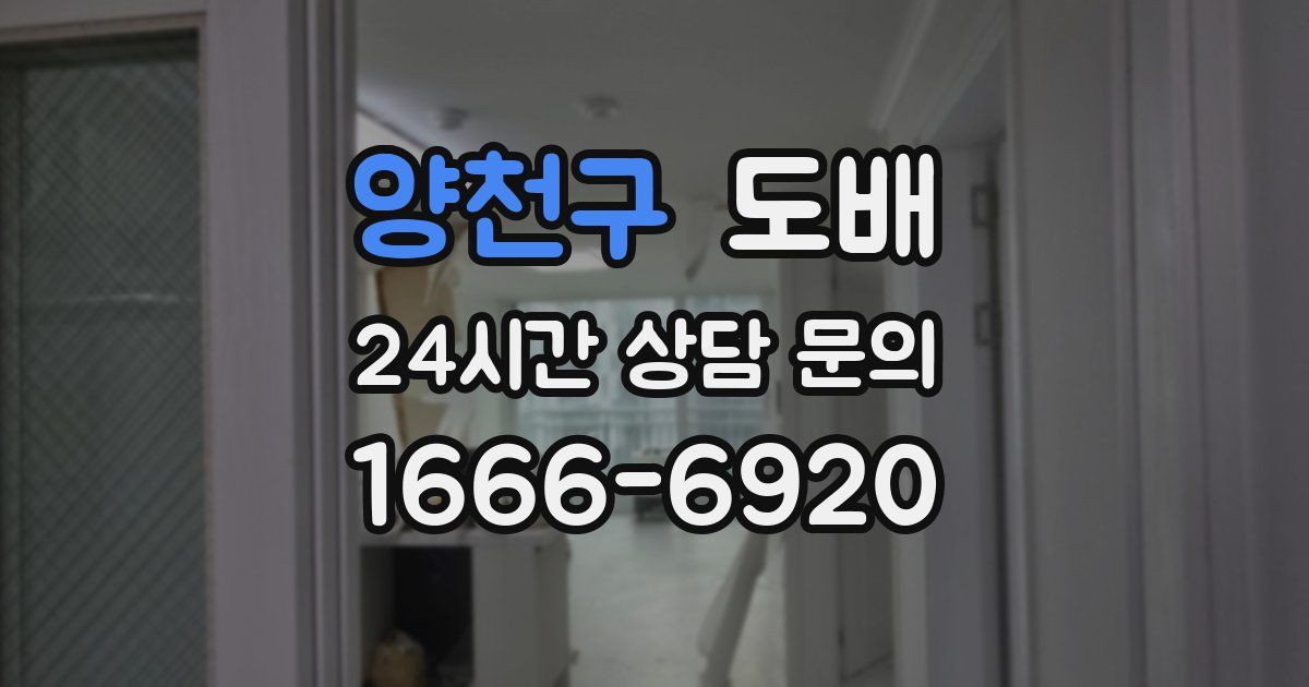 양천구 도배
