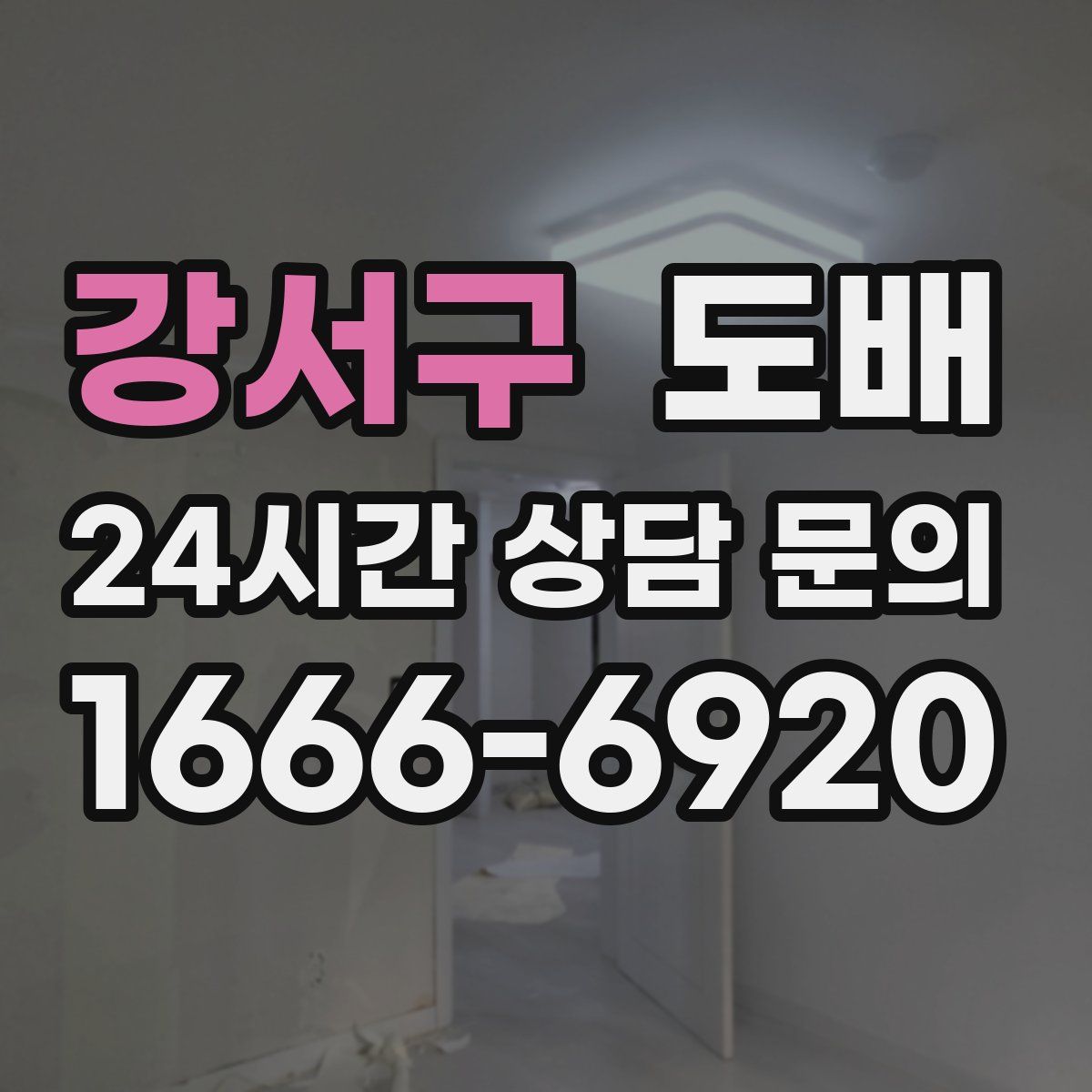 강서구 도배