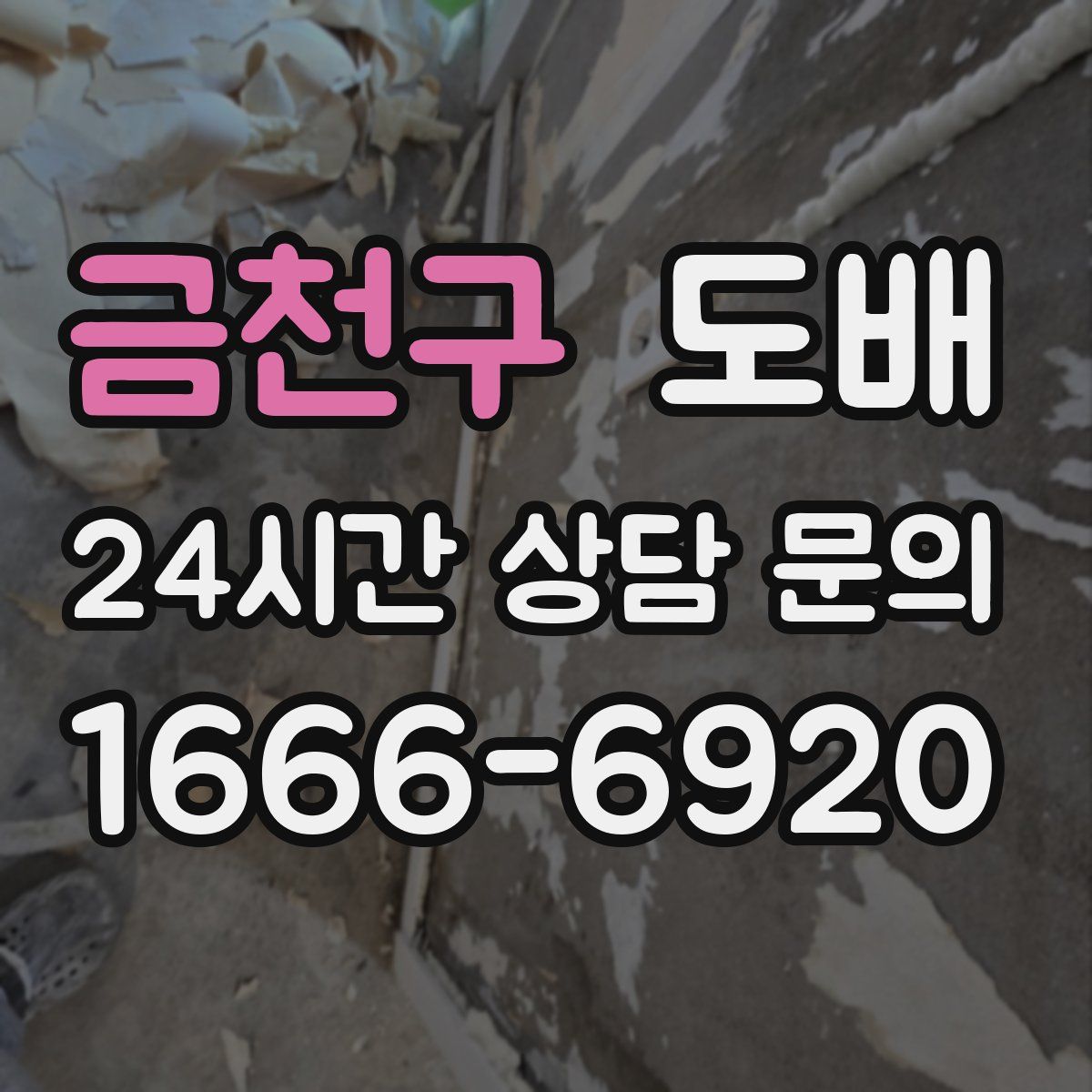 금천구 도배