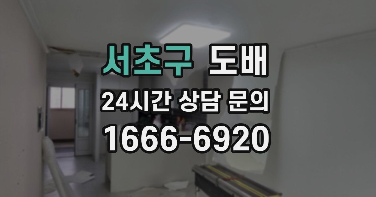 서초구 도배