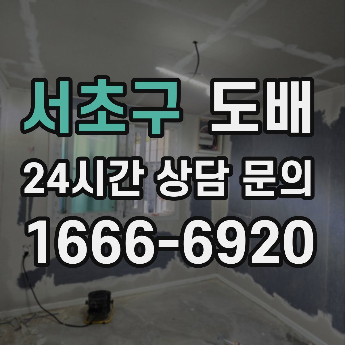 서초구 도배