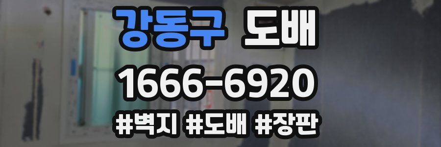 강동구 도배