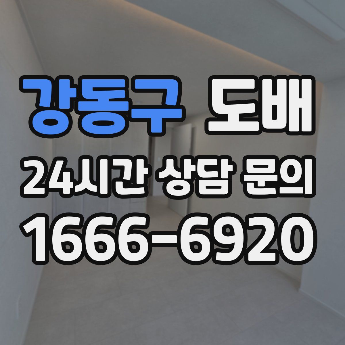 강동구 도배