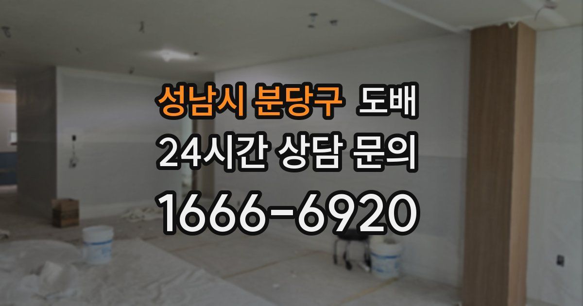 성남시 분당구 도배