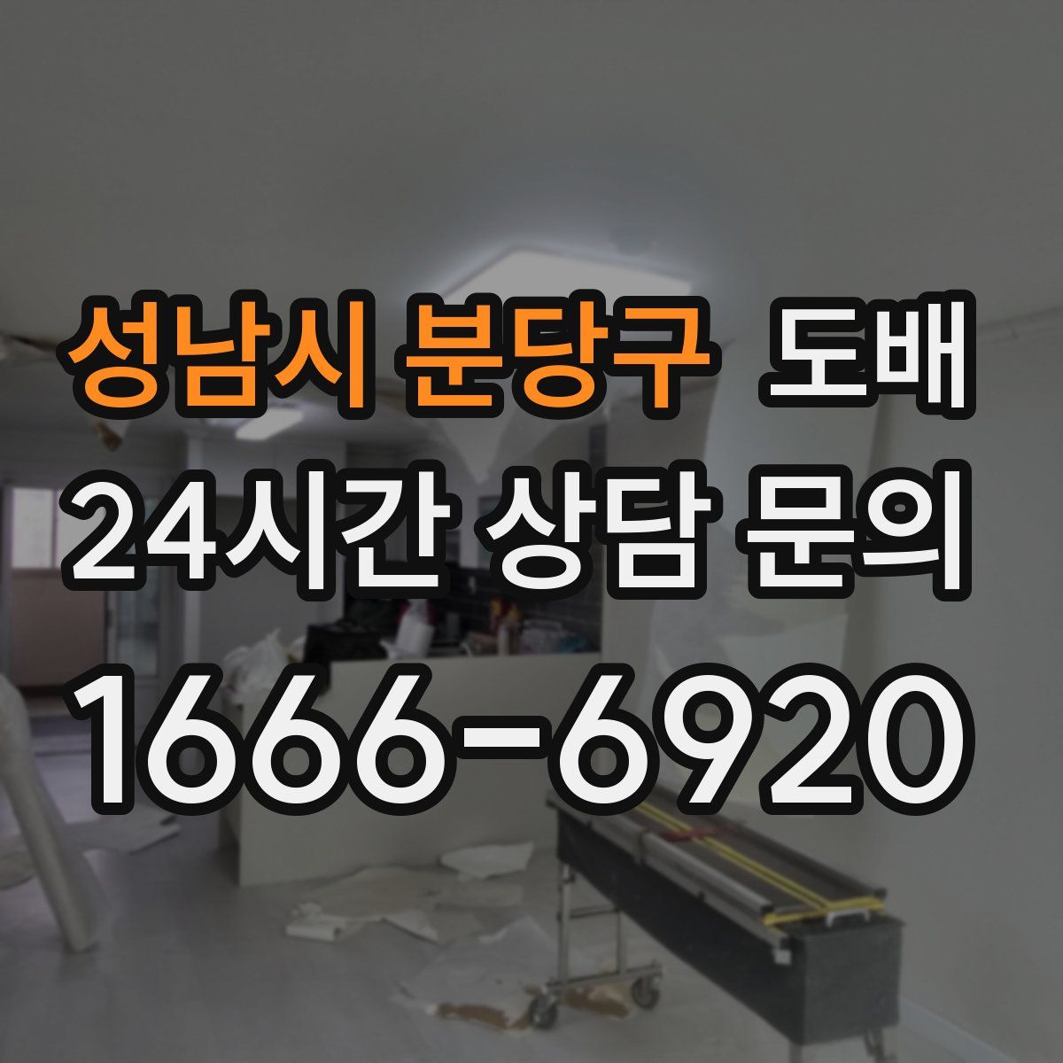 성남시 분당구 도배