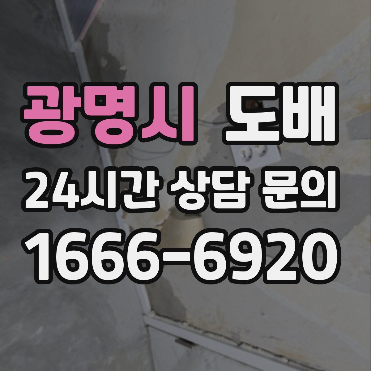 광명시 도배