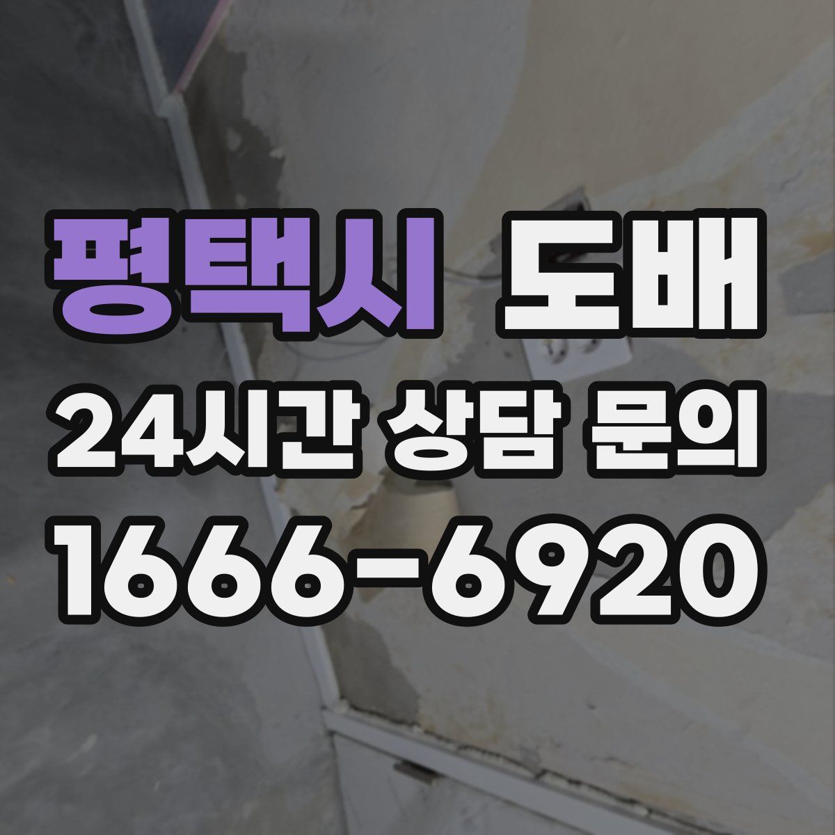 평택시 도배
