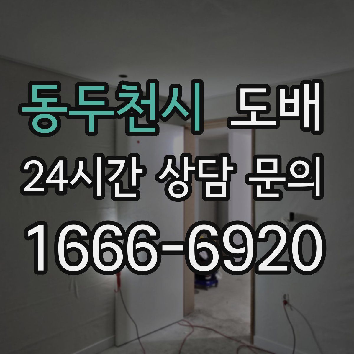 동두천시 도배
