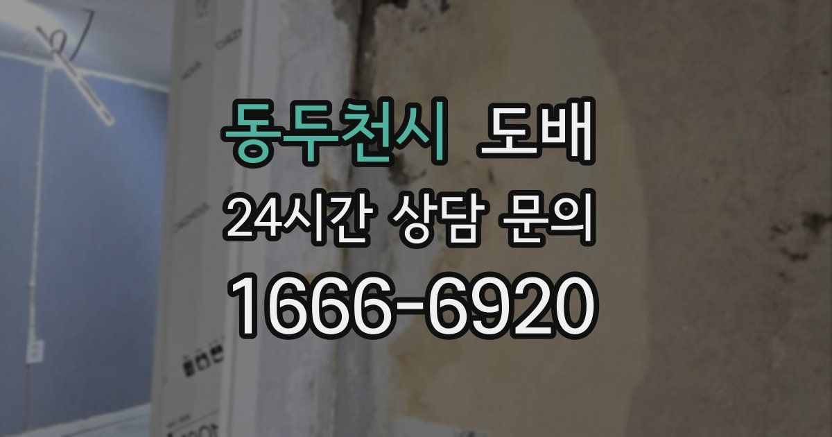 동두천시 도배