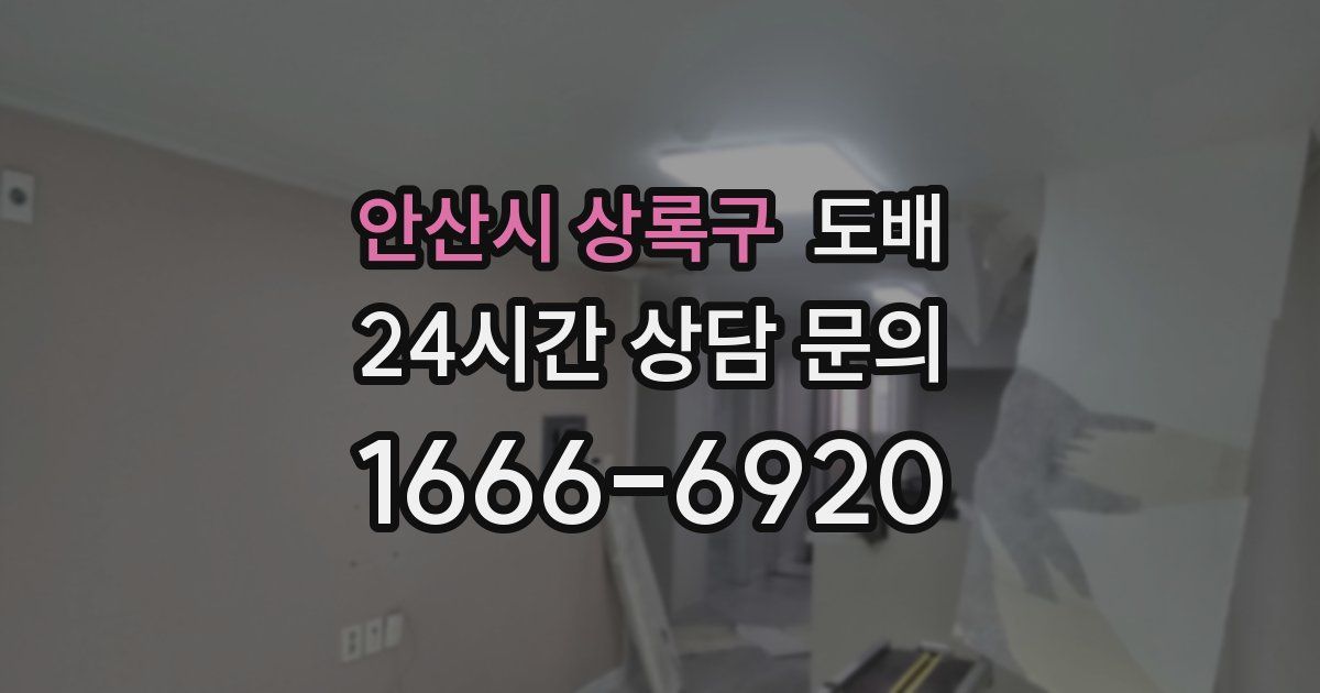 안산시 상록구 도배