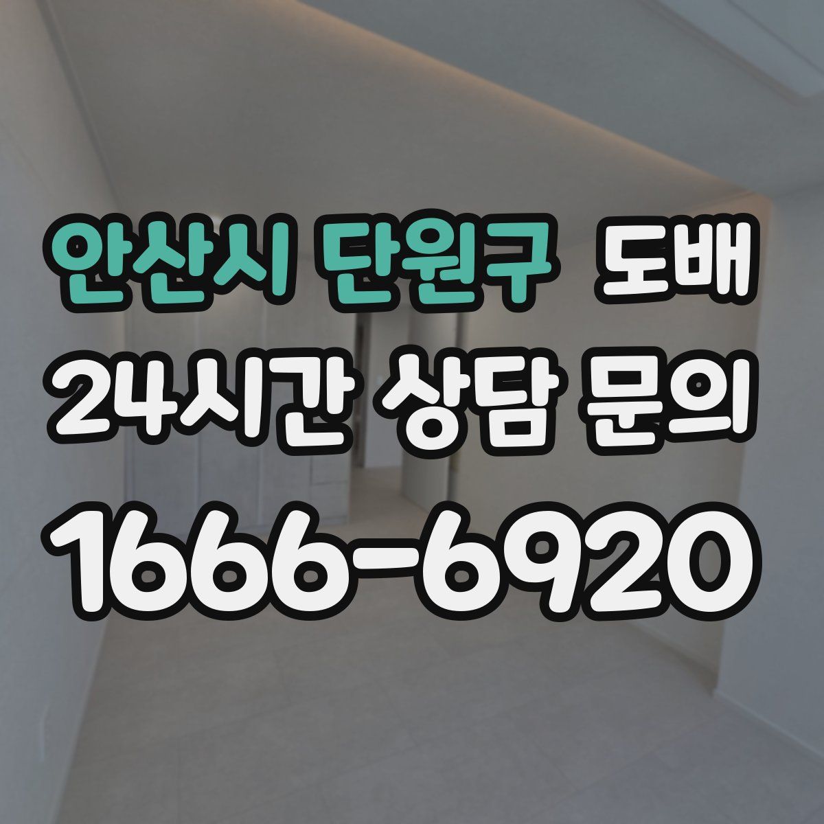 안산시 단원구 도배