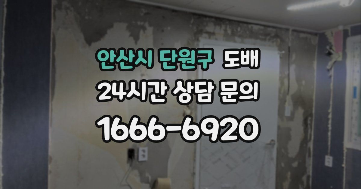 안산시 단원구 도배