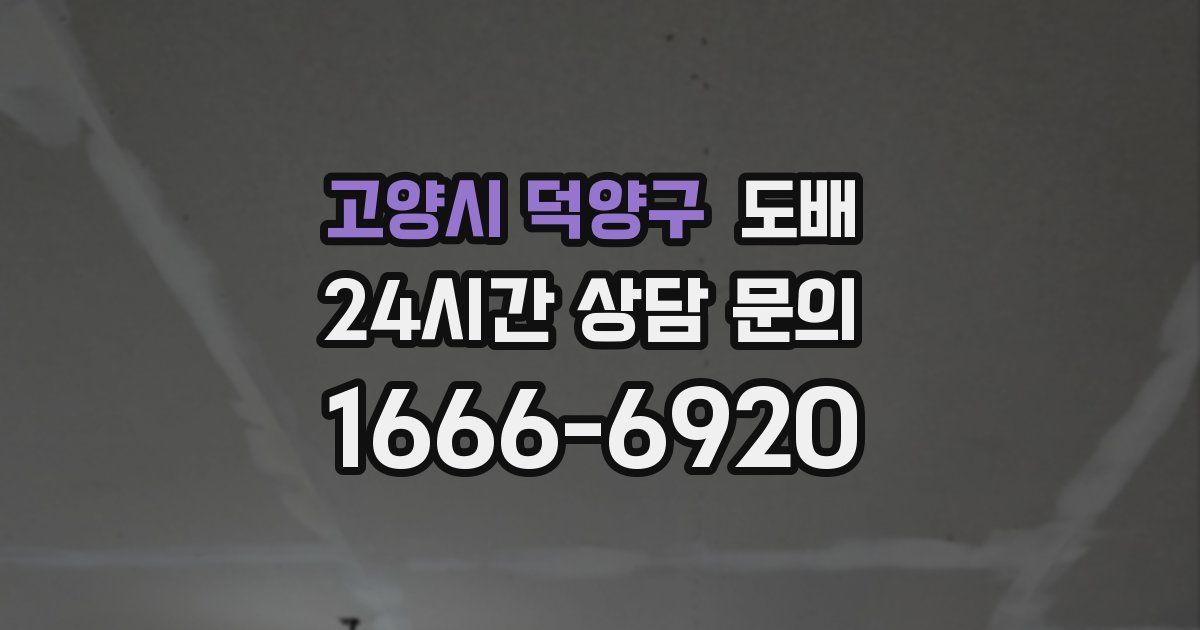 고양시 덕양구 도배