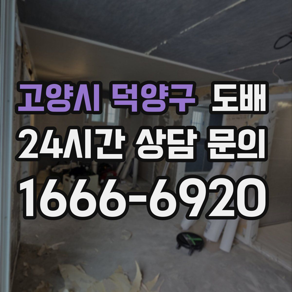 고양시 덕양구 도배