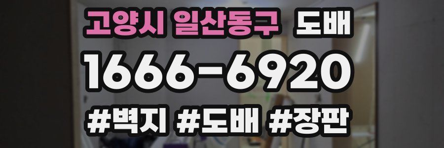 고양시 일산동구 도배