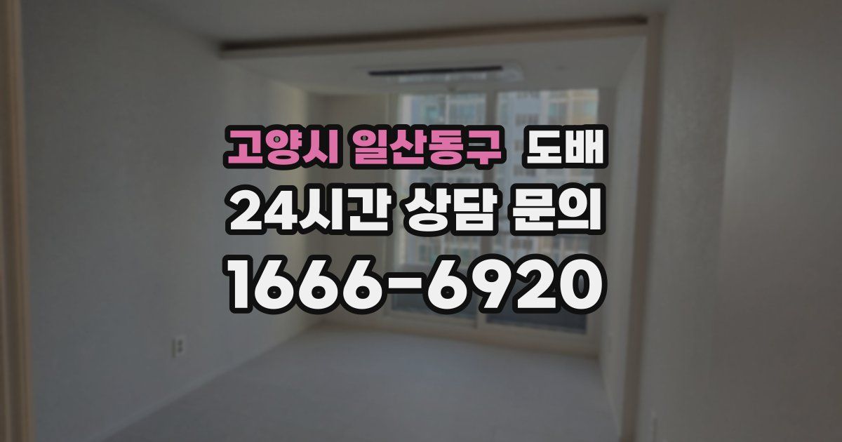 고양시 일산동구 도배