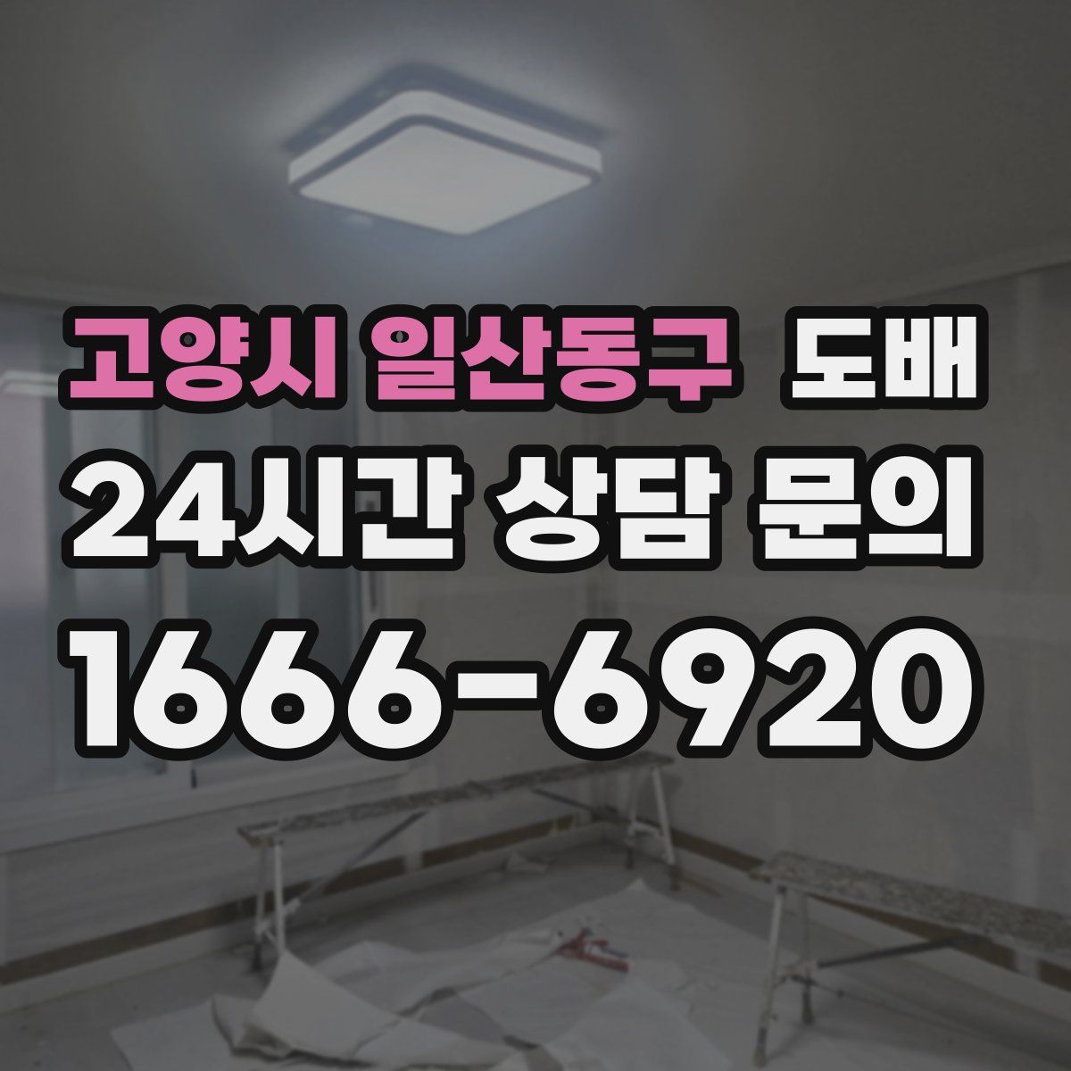 고양시 일산동구 도배