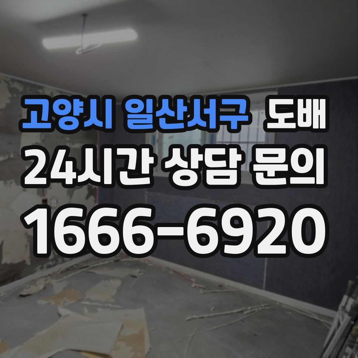 고양시 일산서구 도배