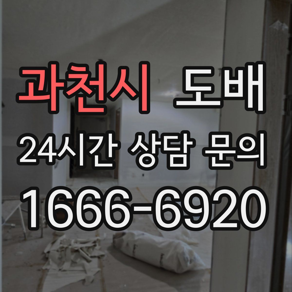 과천시 도배