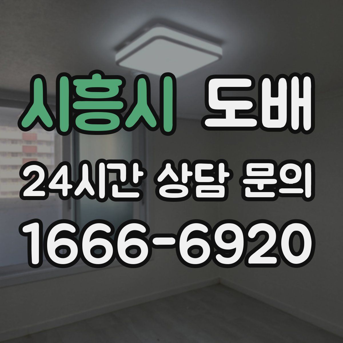 시흥시 도배