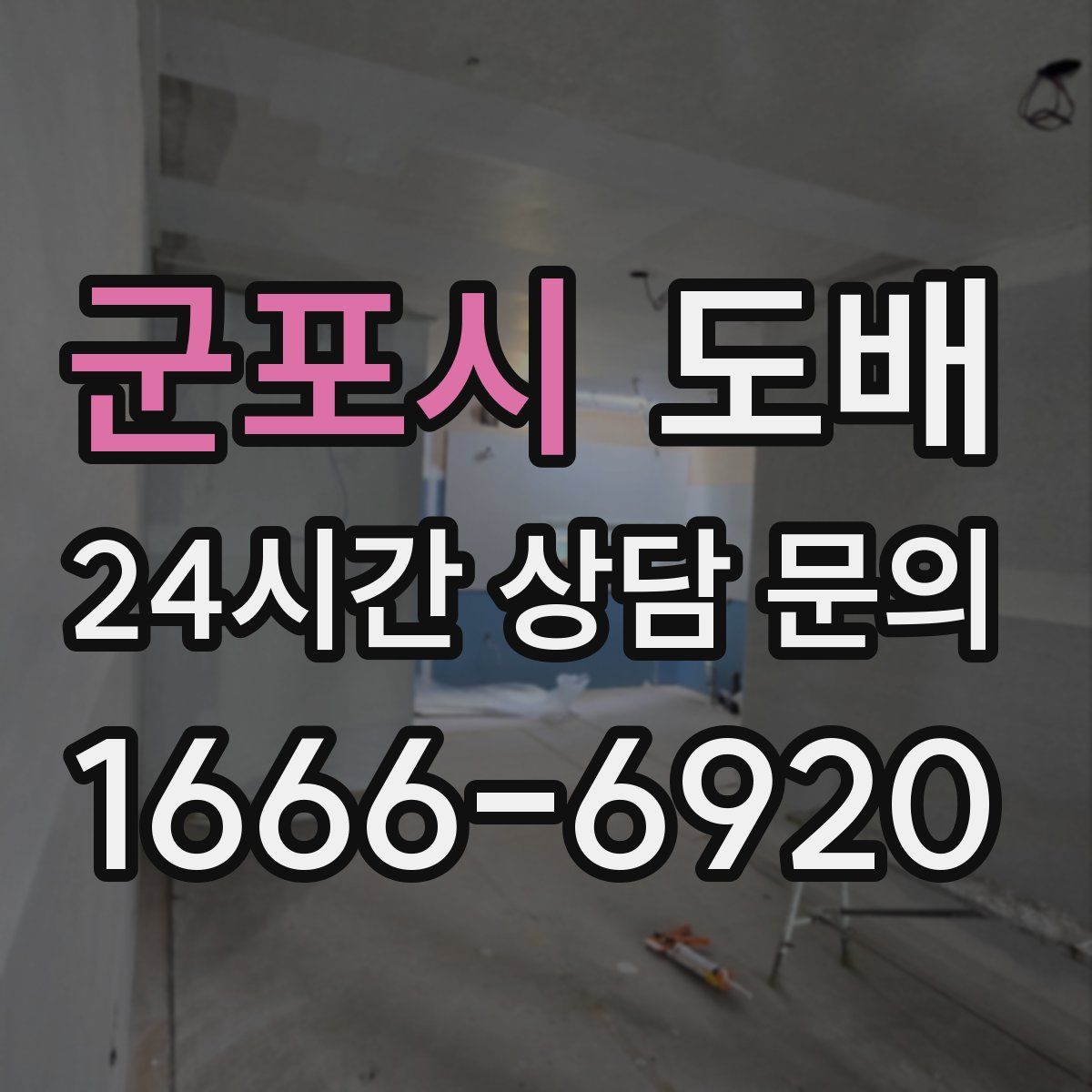 군포시 도배