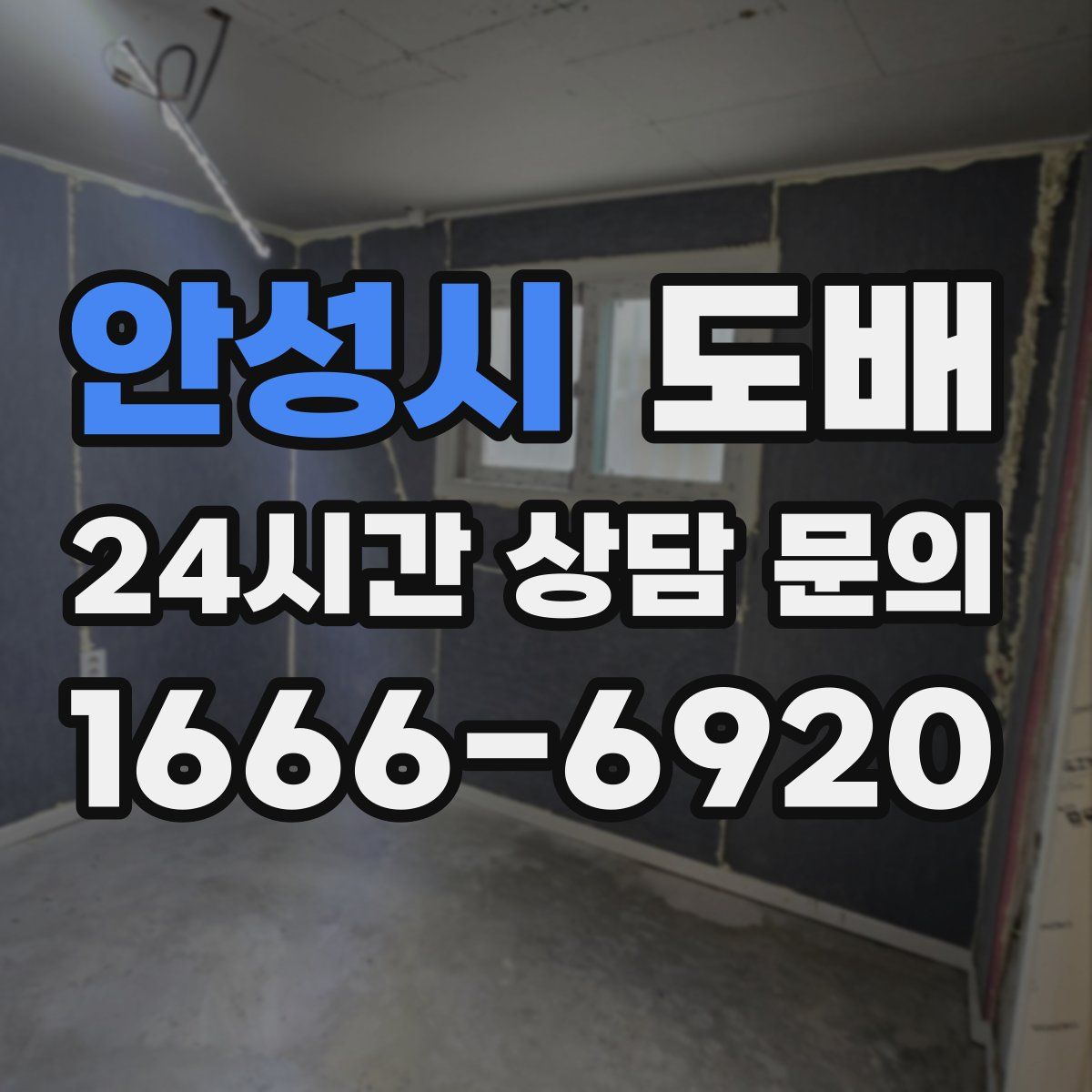 안성시 도배