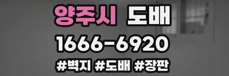 양주시 도배