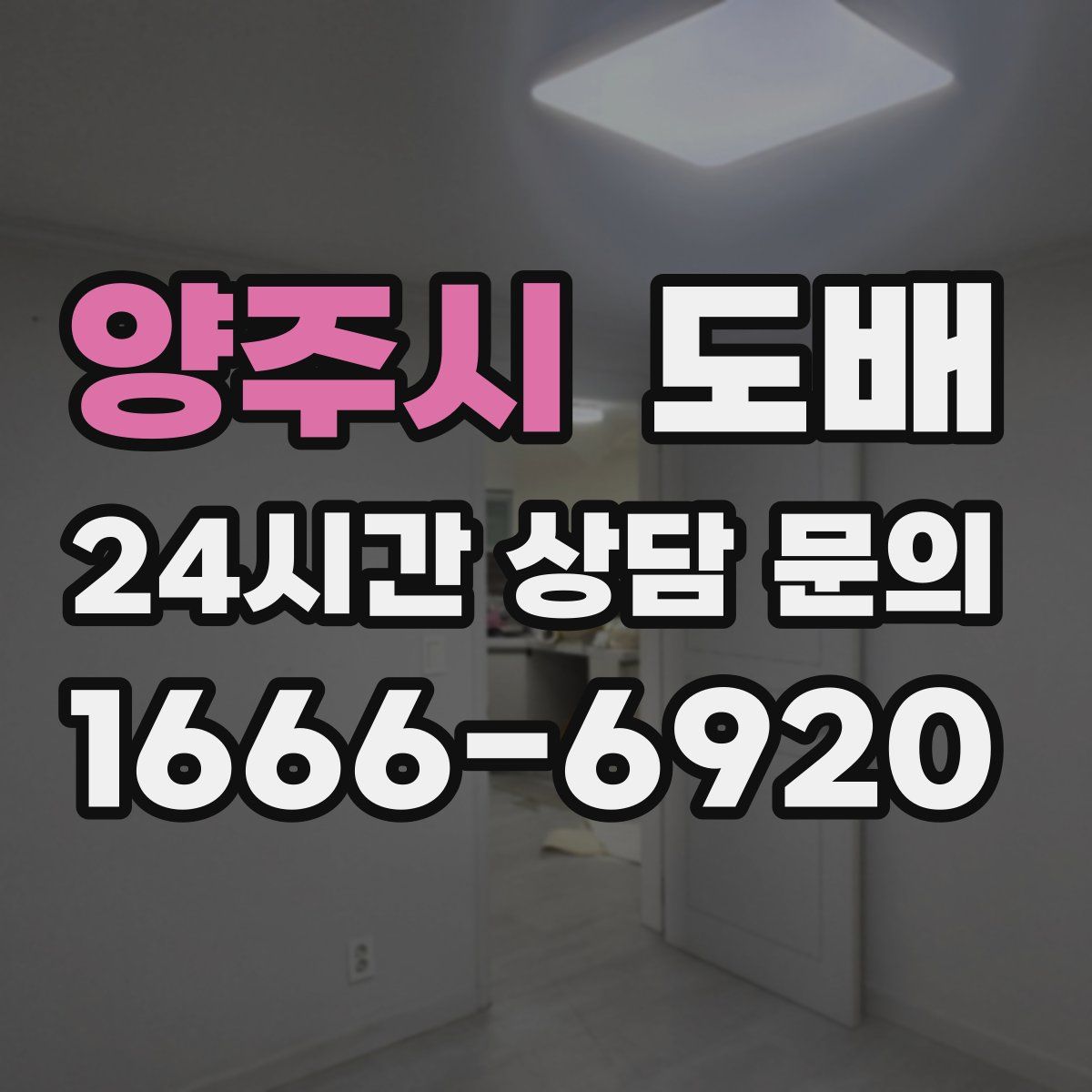 양주시 도배