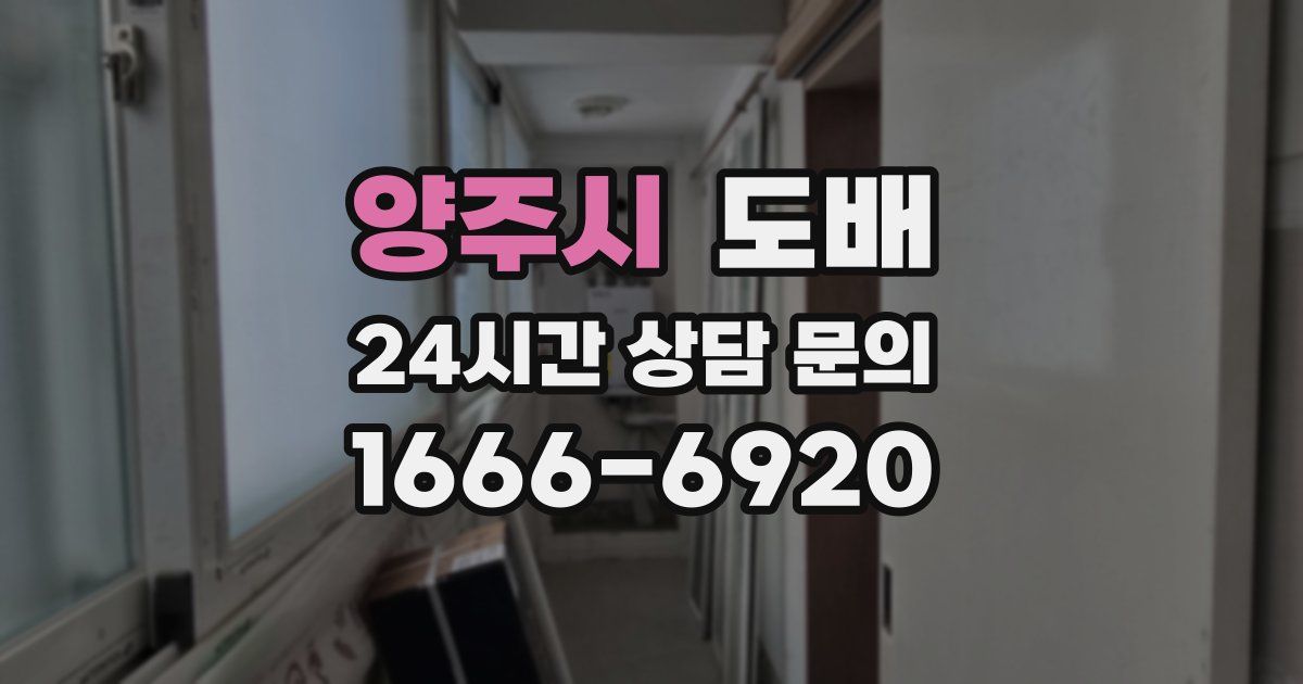 양주시 도배