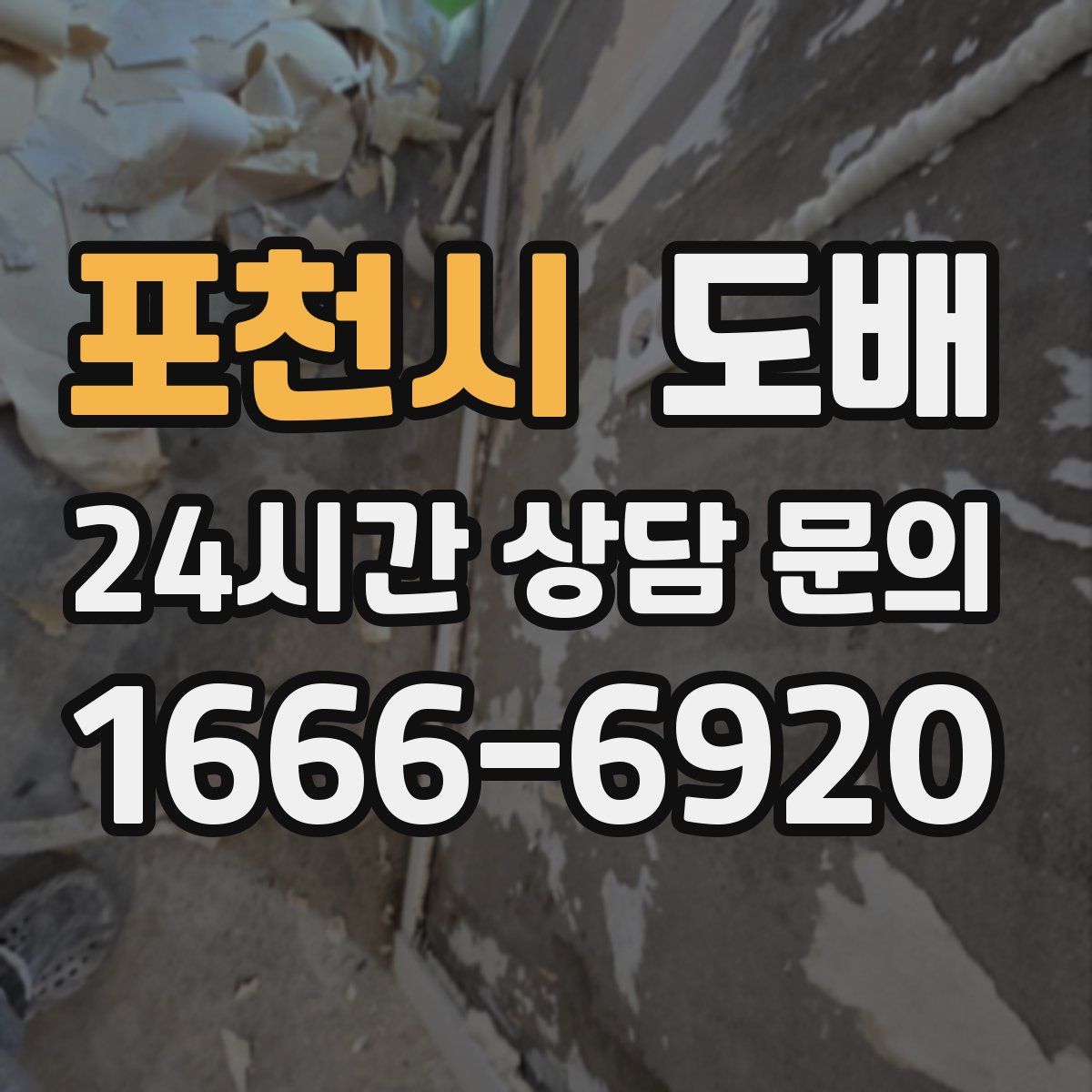 포천시 도배