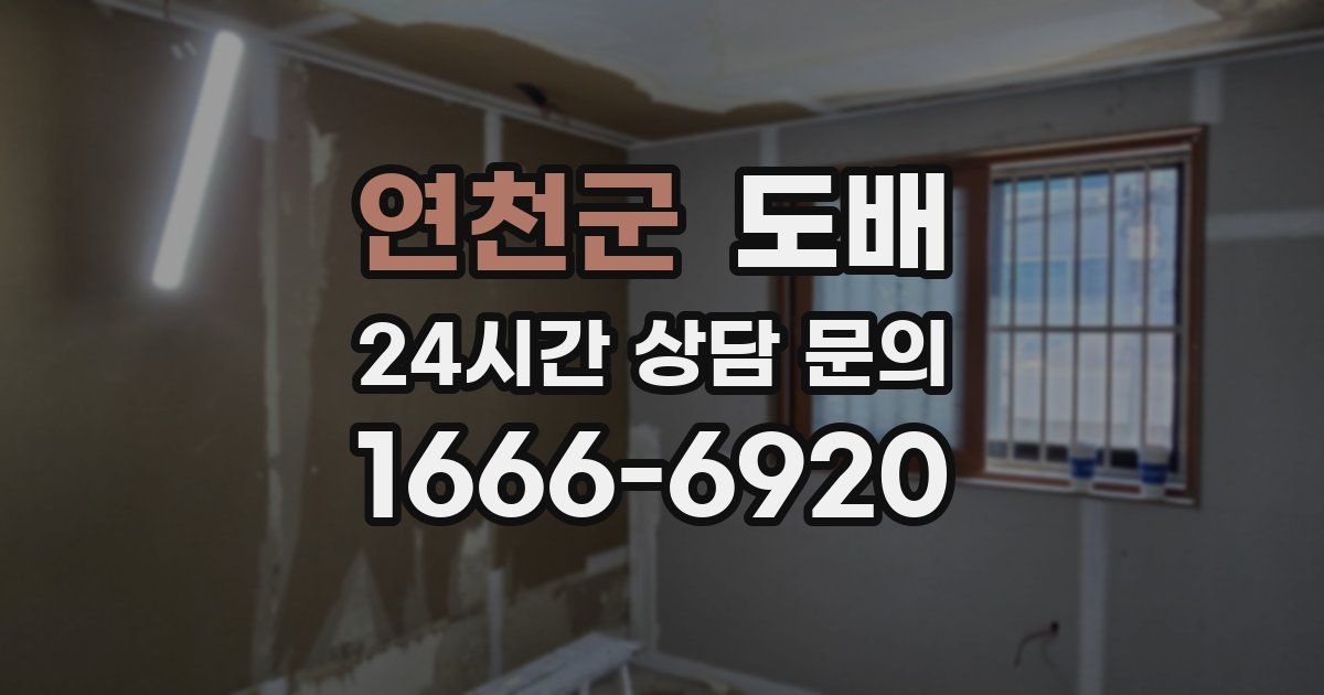 연천군 도배