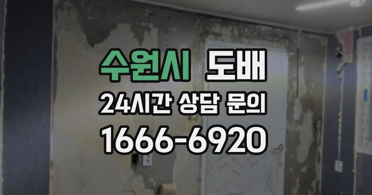 수원시 도배