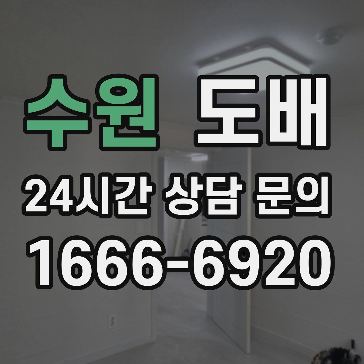수원 도배