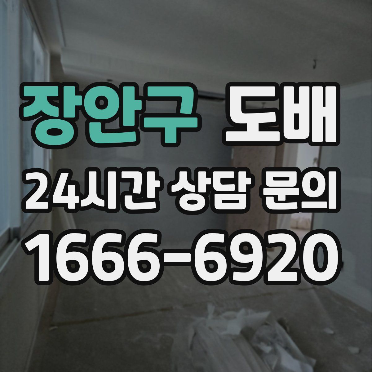 장안구 도배