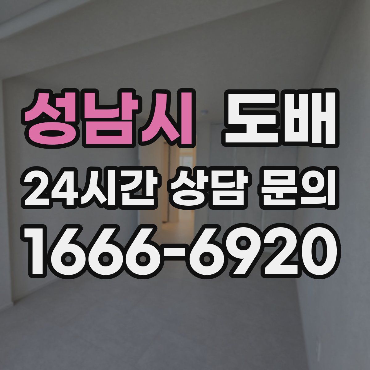 성남시 도배