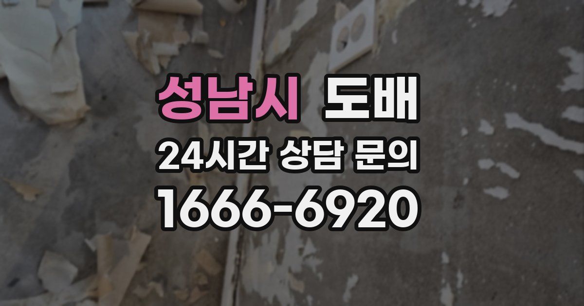 성남시 도배