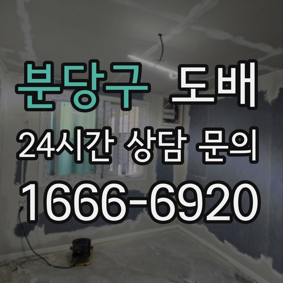 분당구 도배