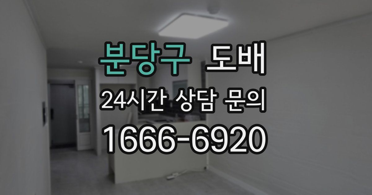 분당구 도배