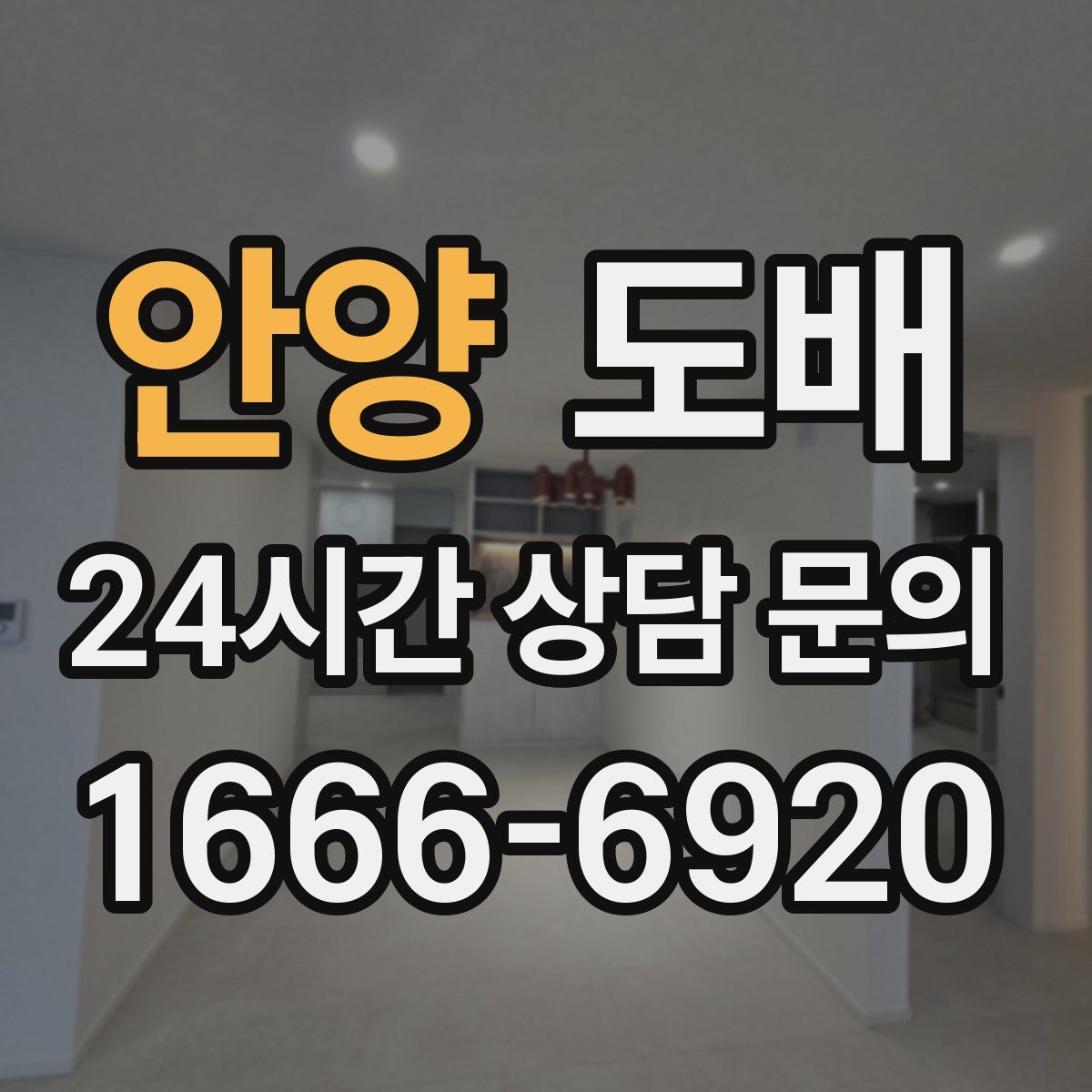 안양 도배