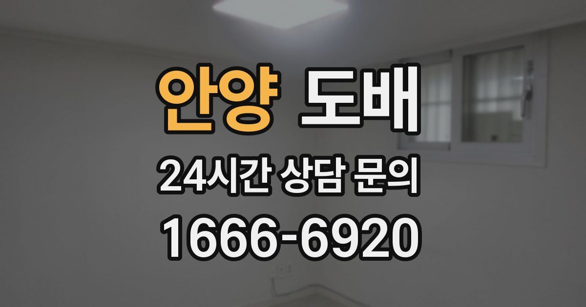 안양 도배