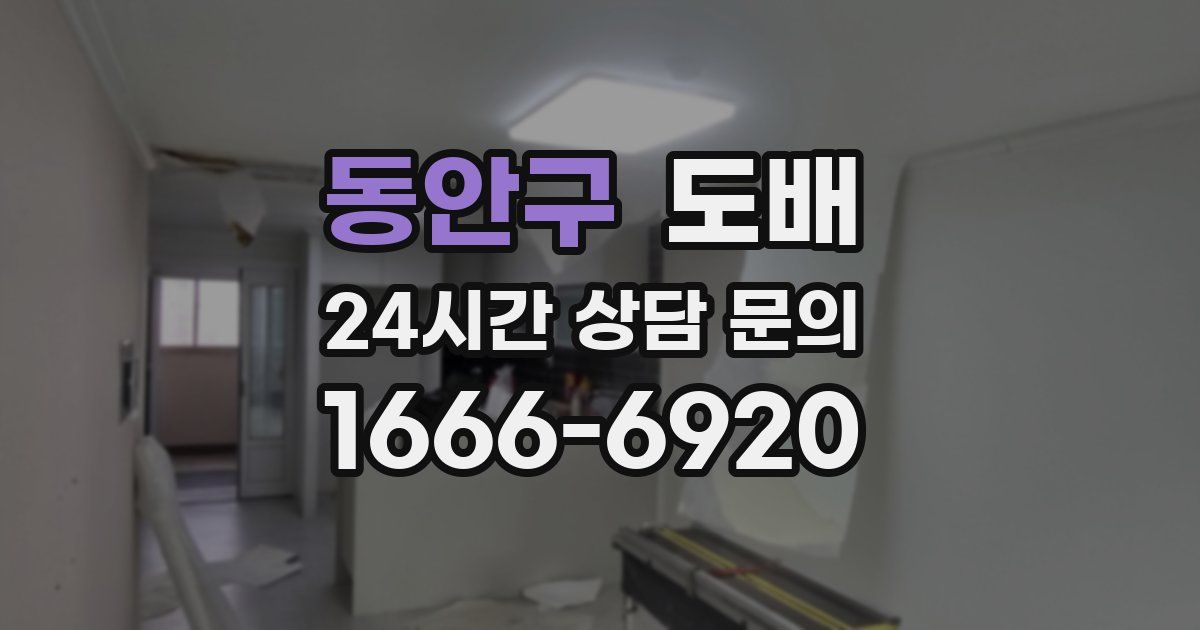 동안구 도배