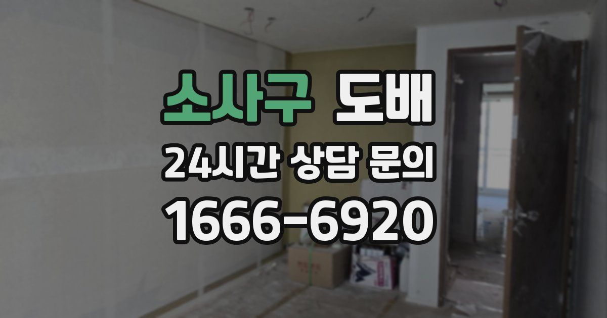소사구 도배