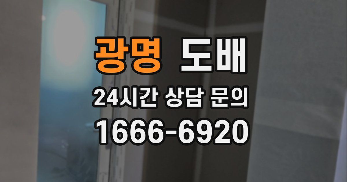 광명 도배