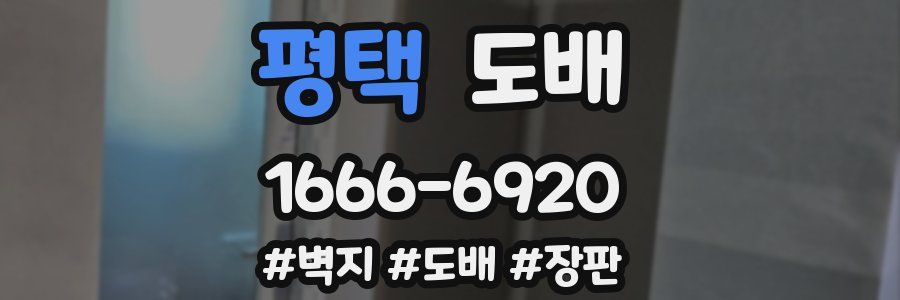 평택 도배