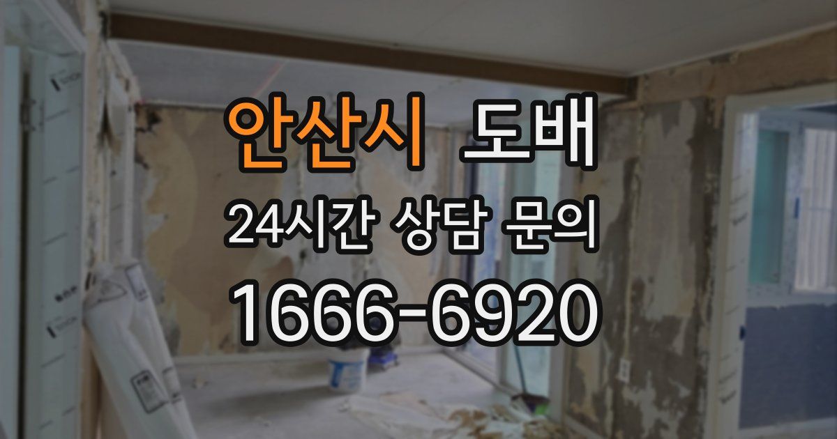 안산시 도배