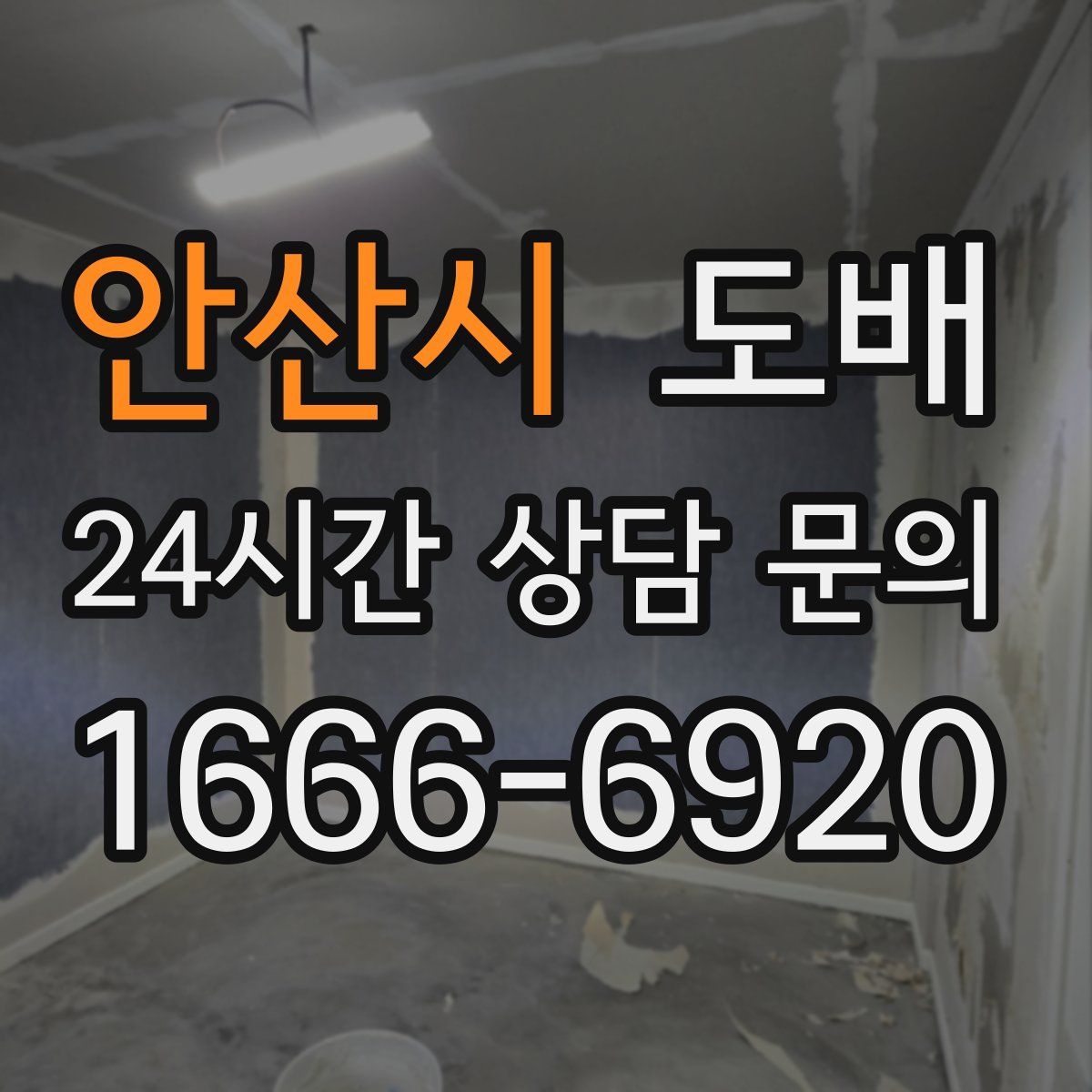 안산시 도배