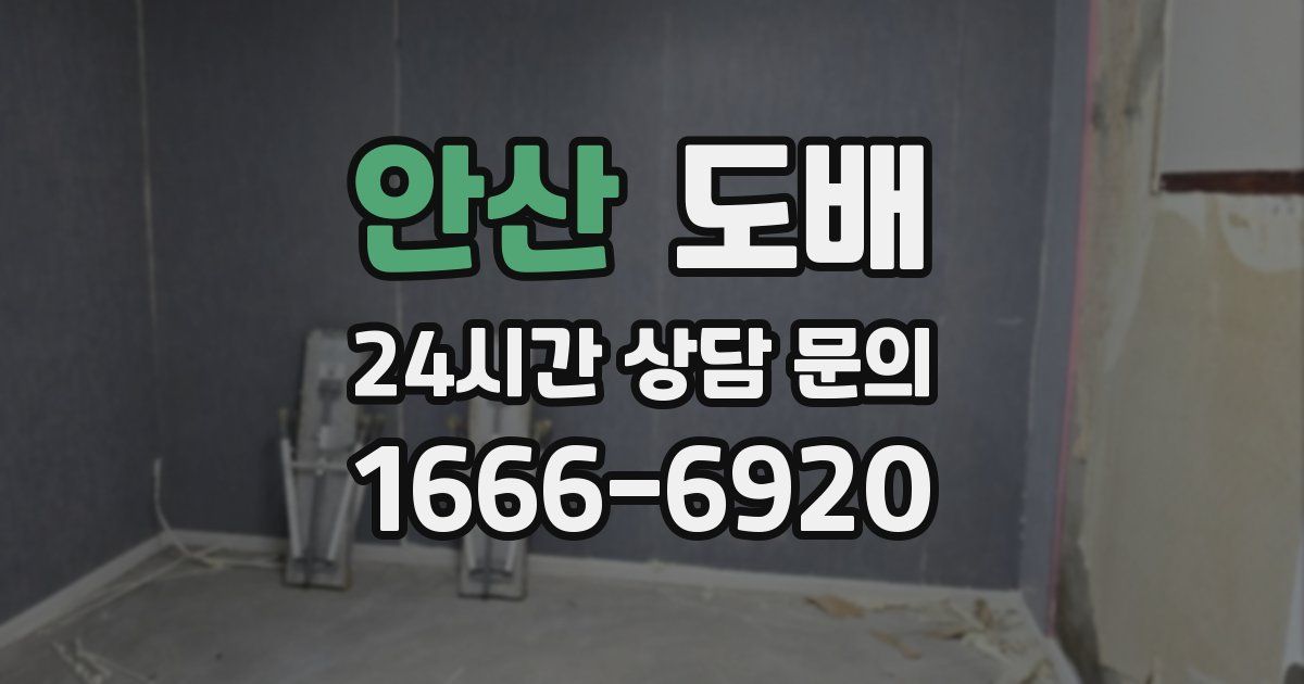 안산 도배