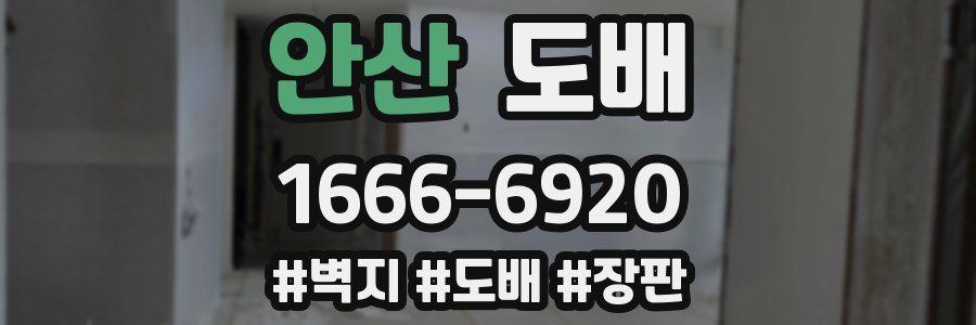 안산 도배
