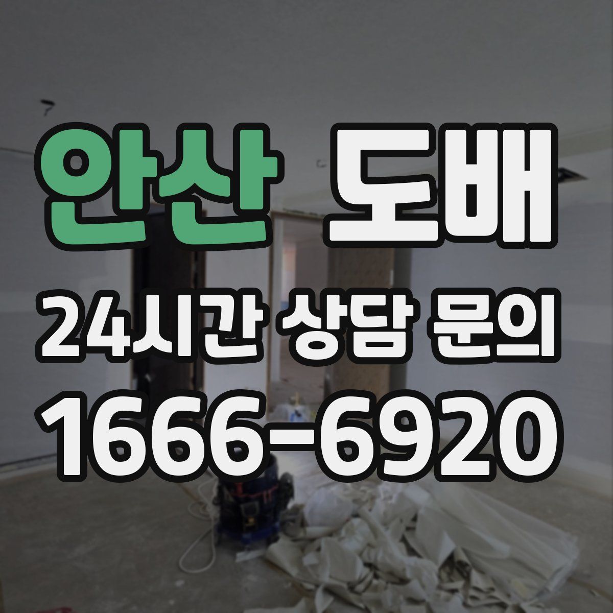 안산 도배