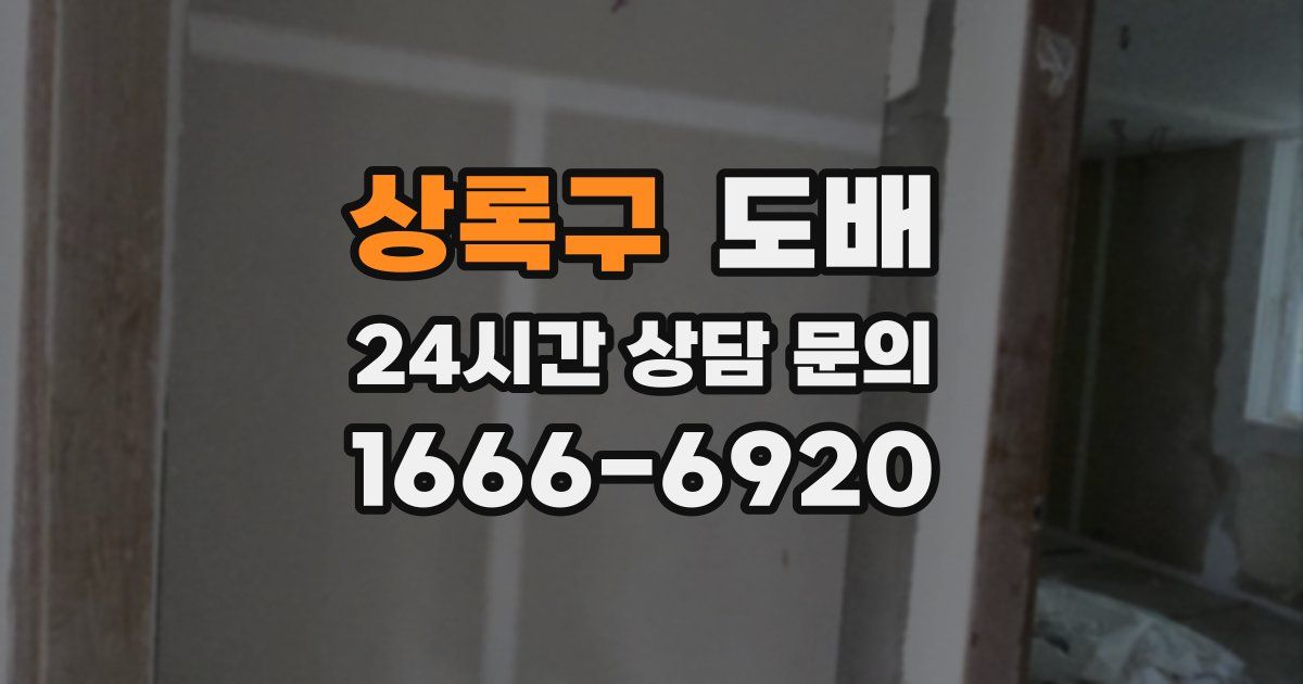 상록구 도배